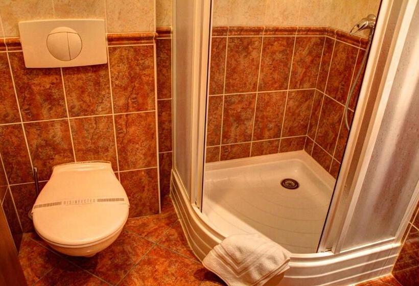 اتاق استاندارد یک نفره, Birdie Pension & Wellness