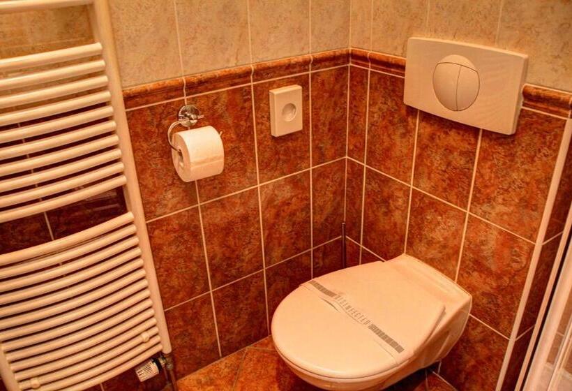 اتاق استاندارد یک نفره, Birdie Pension & Wellness