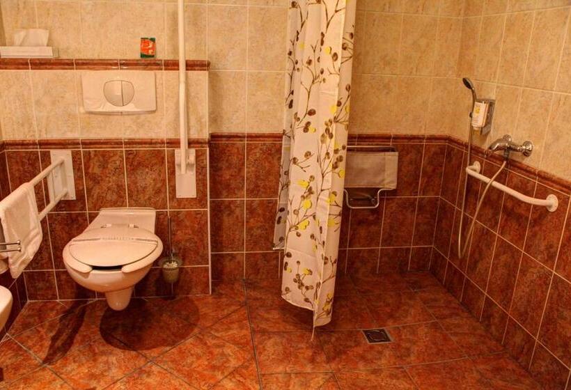 اتاق استاندارد برای معلولان, Birdie Pension & Wellness