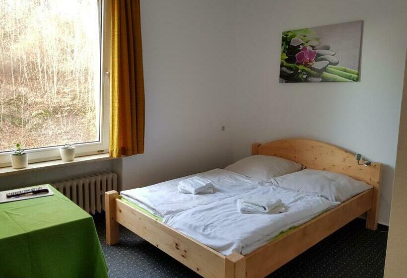 Номер Стандарт Индивидуальный, Berg