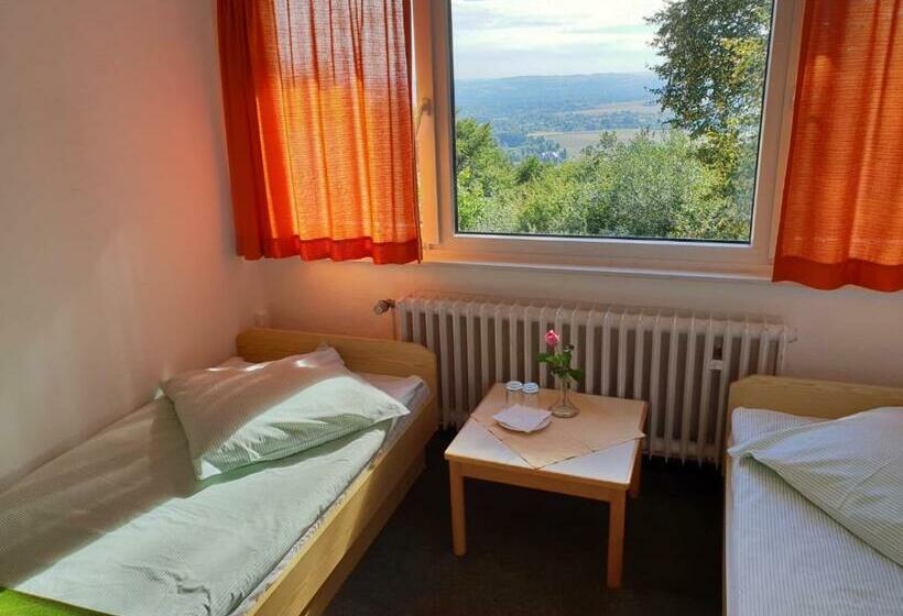 Номер Стандарт, Berg