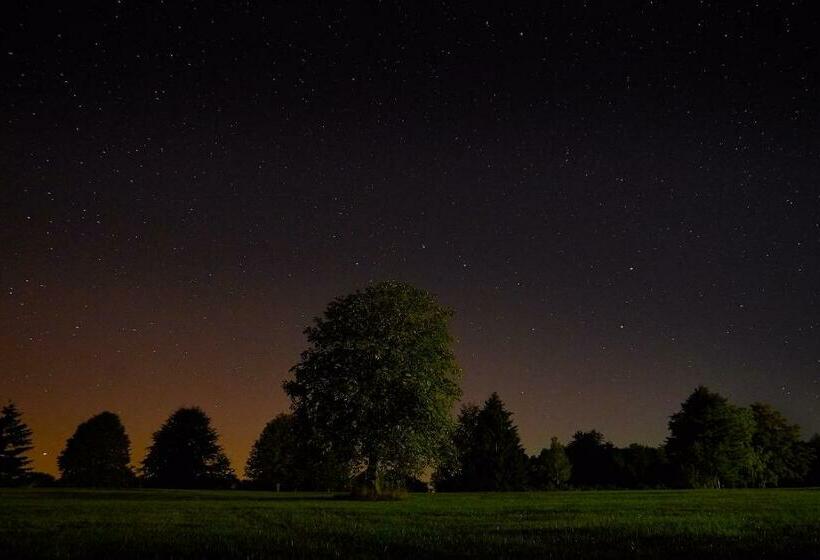 Номер Deluxe с Балконом, Hofgut Held