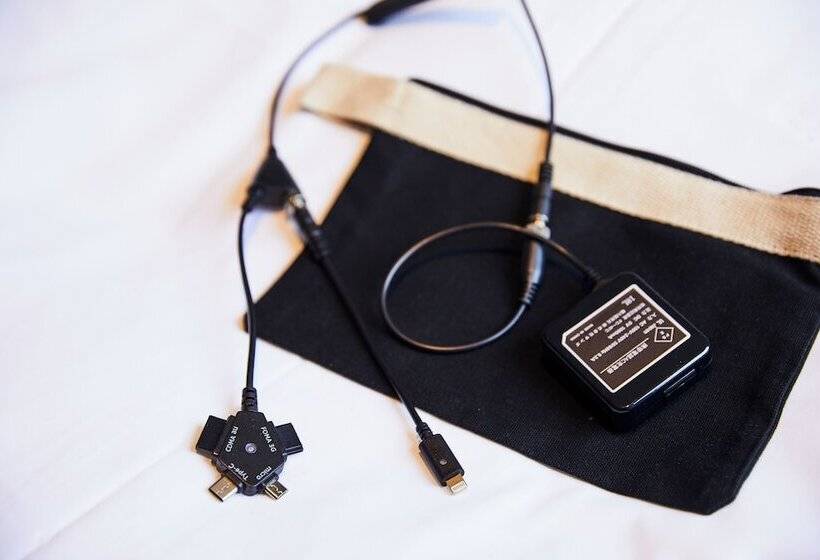 اتاق لوکس یک تخته, Intergate Kanazawa