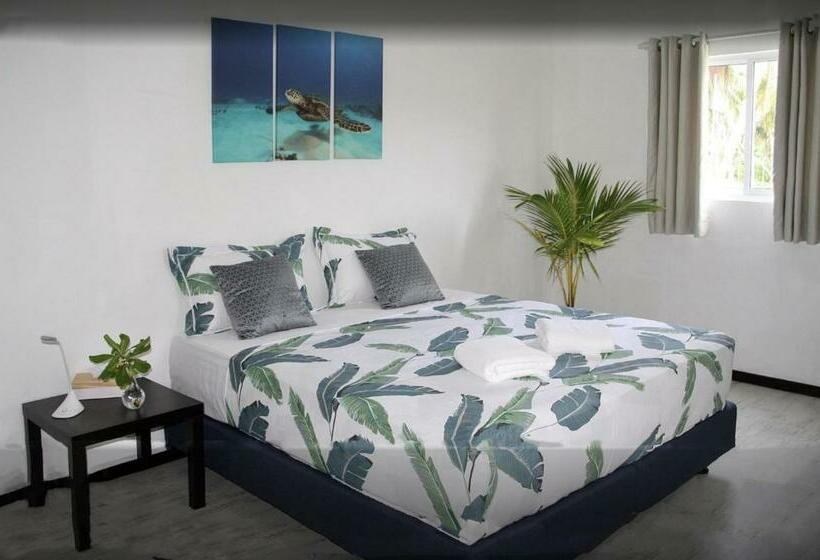 اتاق استاندارد, Surf Yoga Camp