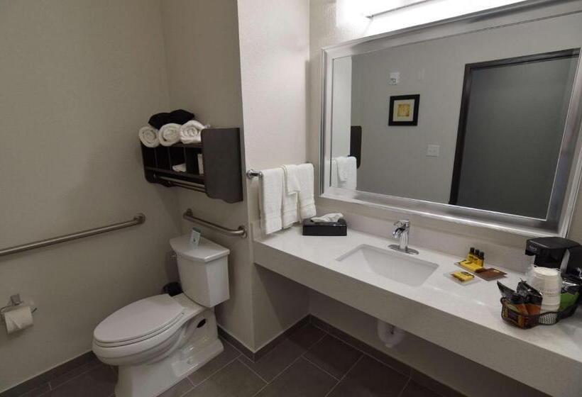 غرفة قياسية لذوى الاحتياجات الخاصة, Best Western Plus Waller