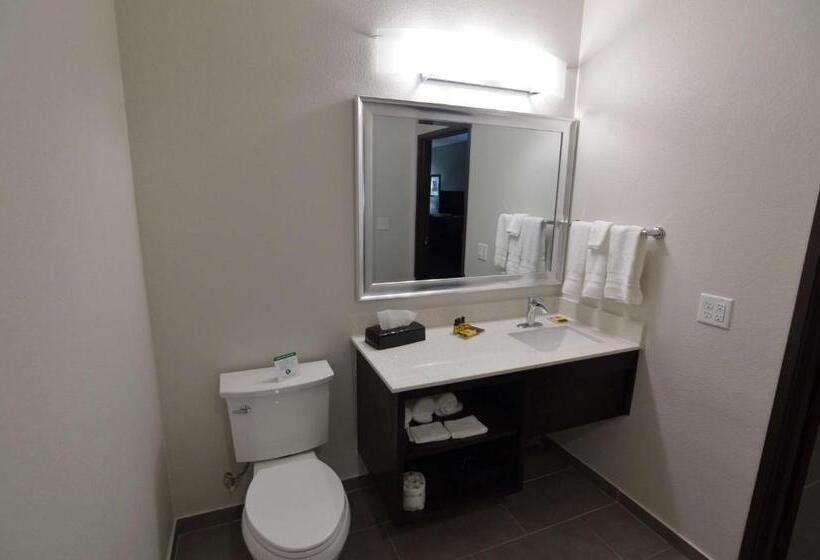 غرفة إدارية سرير كينج, Best Western Plus Waller