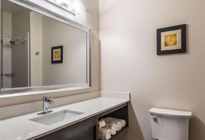 غرفة إدارية سرير كينج, Best Western Plus Waller