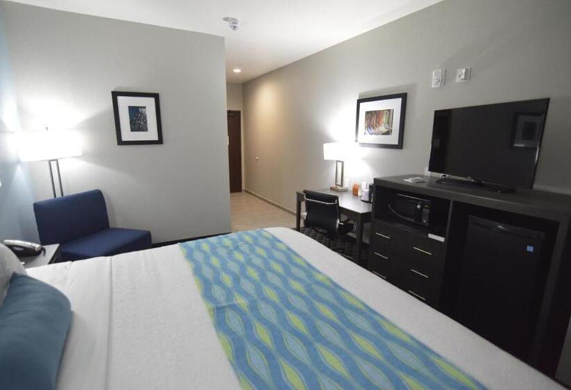 غرفة قياسية سرير كينج لذوى الإحتياجات الخاصة, Best Western Plus Waller