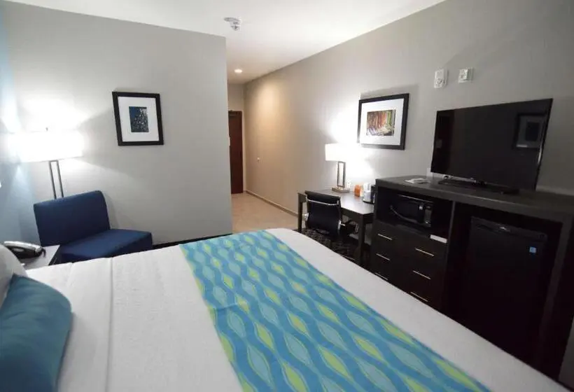 身障者適用キングサイズベッドルーム, Best Western Plus Waller