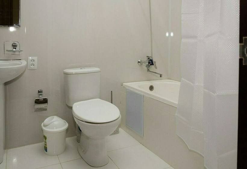 חדר סטנדרט יחיד, Karakalpak Palace