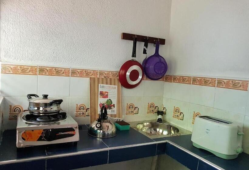 Economy Zimmer, Moonray