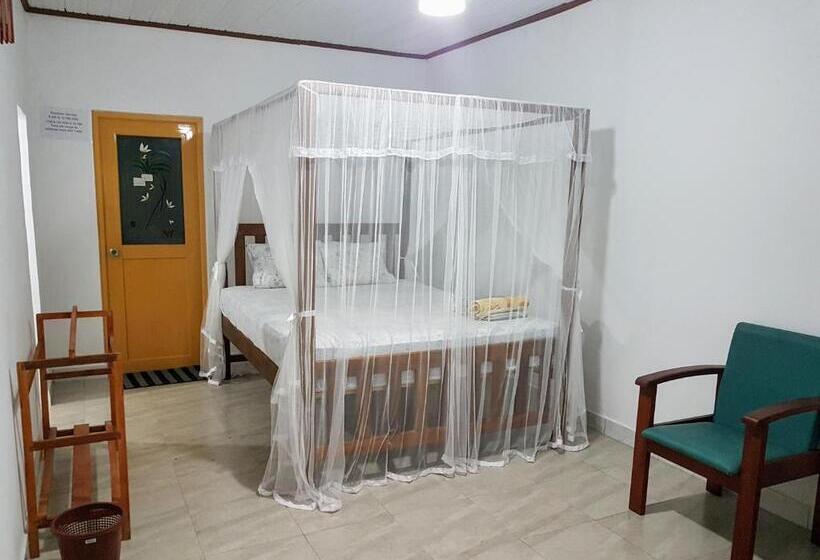 Economy Zimmer, Moonray