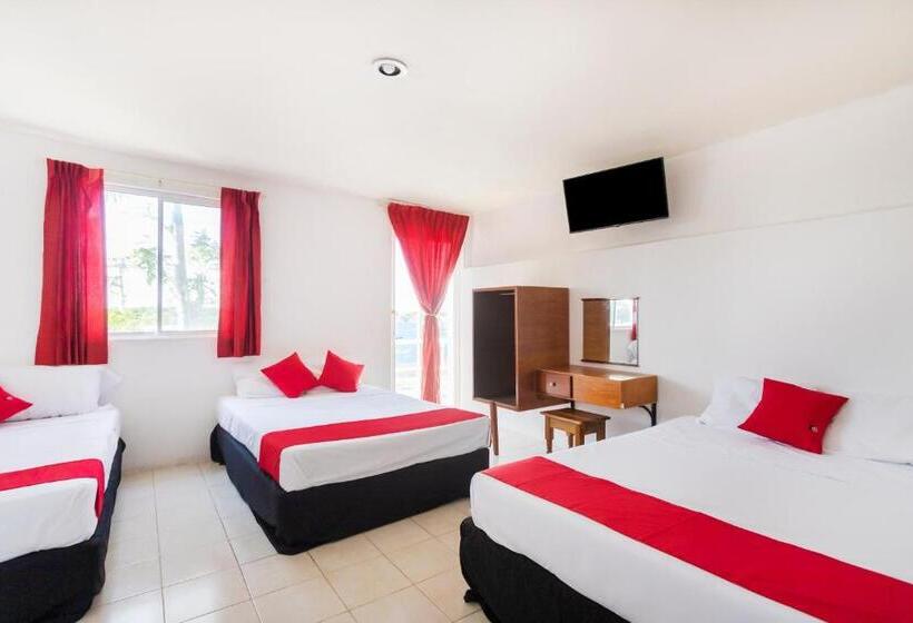 Familie Værelse, Cedros