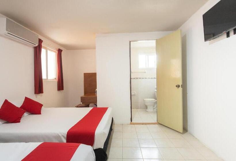 Standard Værelse, Cedros