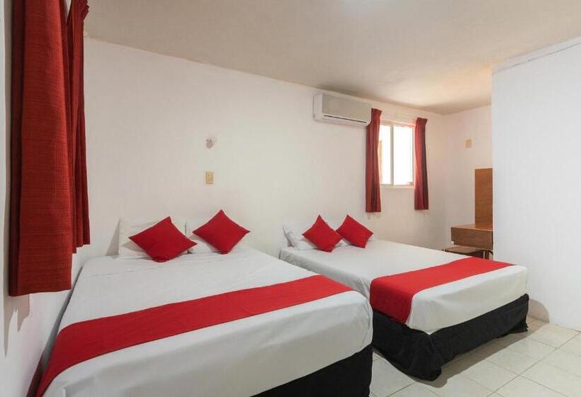 Standard Værelse, Cedros