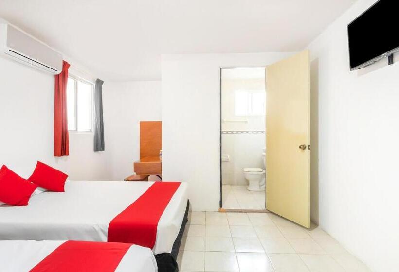 اتاق استاندارد, Cedros