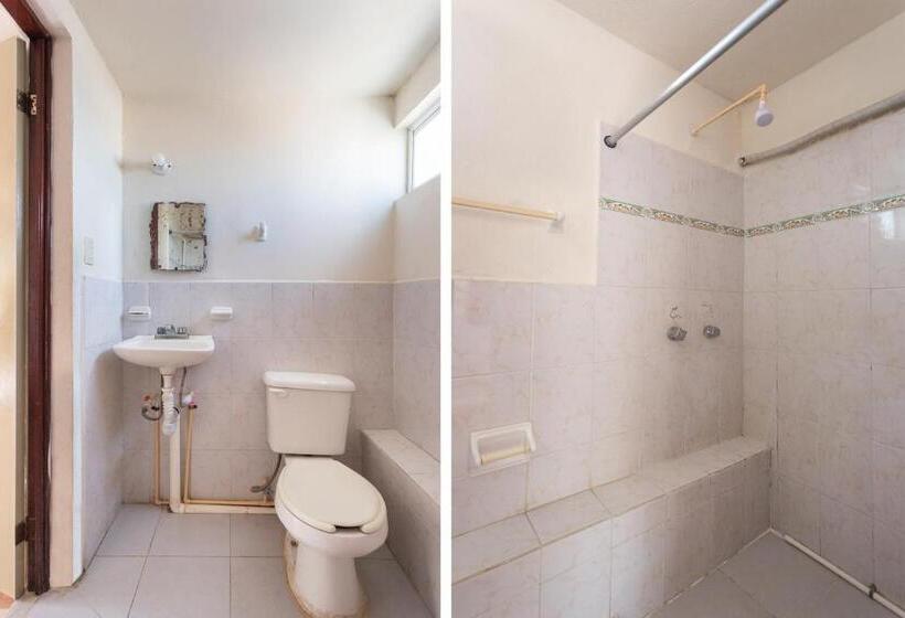 Standard Værelse, Cedros