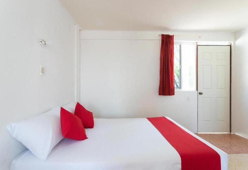 Standard Værelse, Cedros