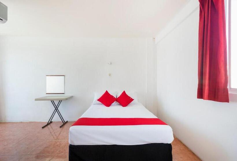 Standard Værelse, Cedros