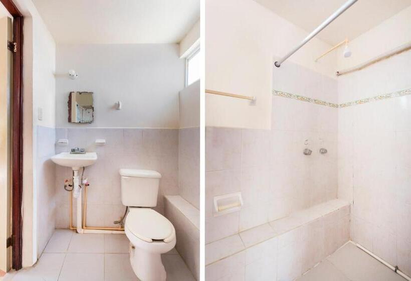 Standard Værelse, Cedros