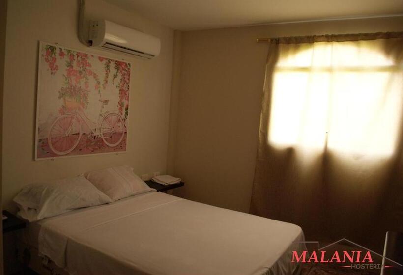 スタンダードシングルルーム, Hostal Malania