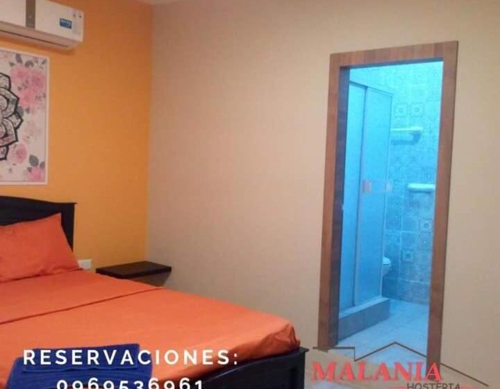 スタンダードシングルルーム, Hostal Malania