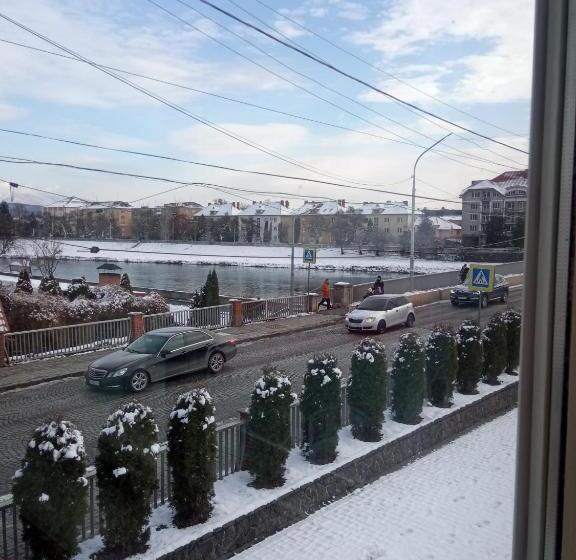 四人标准间, Delfin