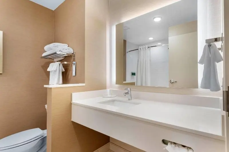 キングサイズベッドのスタンダードルーム, Fairfield Inn & Suites By Marriott Mebane