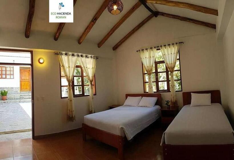 Номер Стандарт, Eco Hacienda Roman