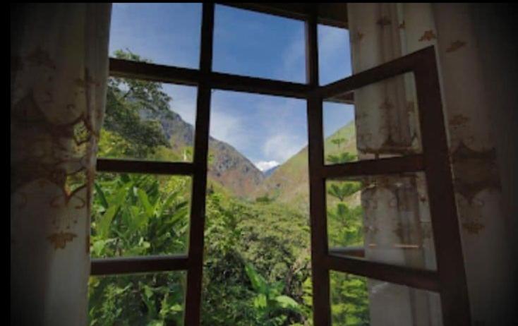 Номер Стандарт, Eco Hacienda Roman