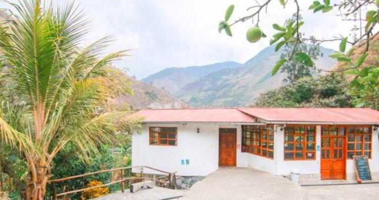 Люкс, Eco Hacienda Roman