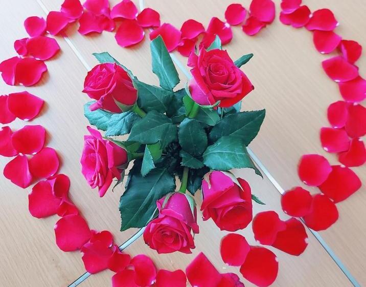 آپارتمان 1 خوابه, Dic Star Landmark