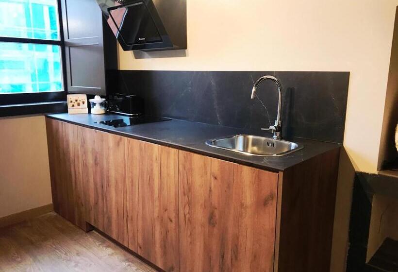 スタンダードルーム, Suite 1907 Aviles