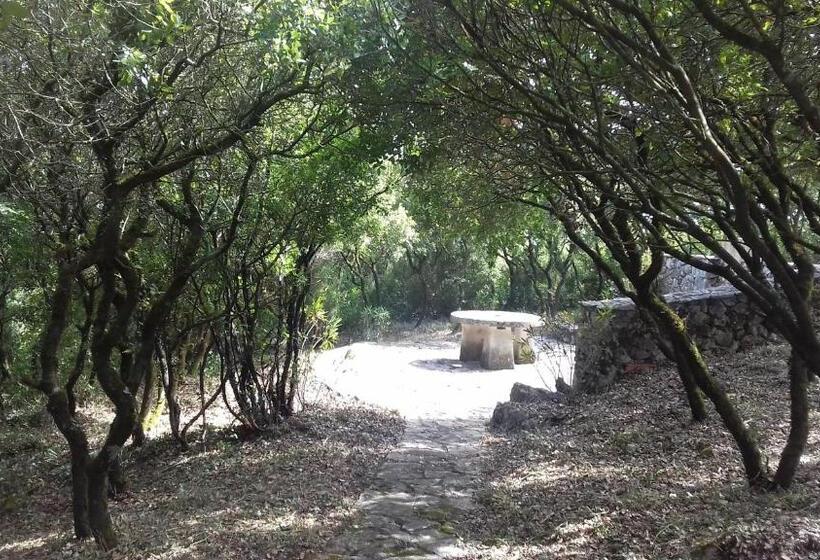 Дом 1 Спальня, Cabeço Dos Três Moinhos