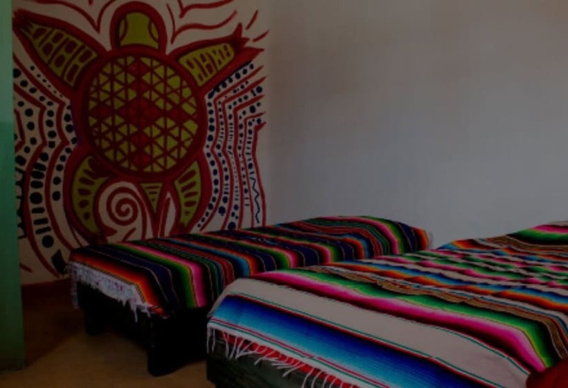 غرفة قياسية, Hostal Chesal