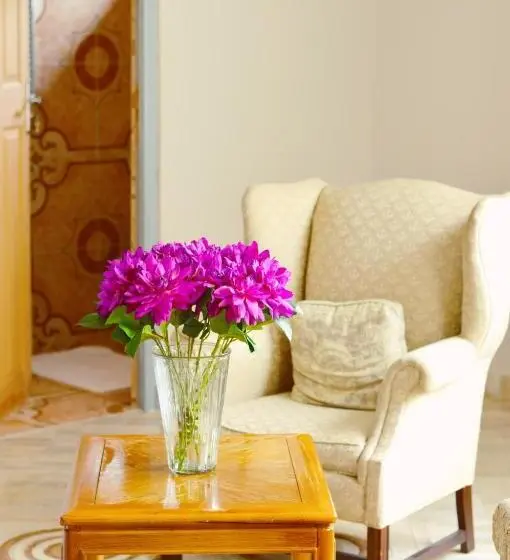 اتاق استاندارد با تخت بزرگ, Rehoboth Mountain Suites