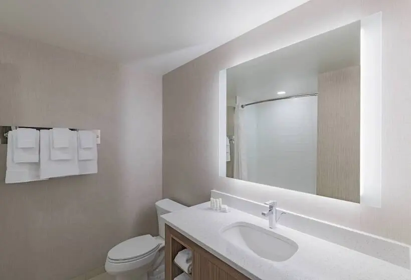 スタンダードスタジオ, Residence Inn By Marriott Halifax Dartmouth