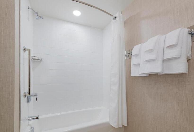 带大床的套房, Residence Inn By Marriott Halifax Dartmouth