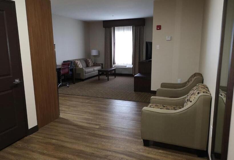 غرفه قياسيه سريرين مزدوجين, Best Western Plus Hinton Inn & Suites