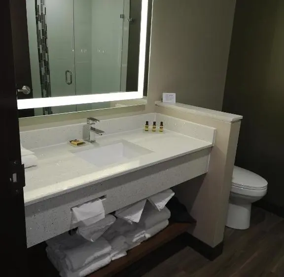キングサイズベッドのデラックススイート, Best Western Plus Hinton Inn & Suites