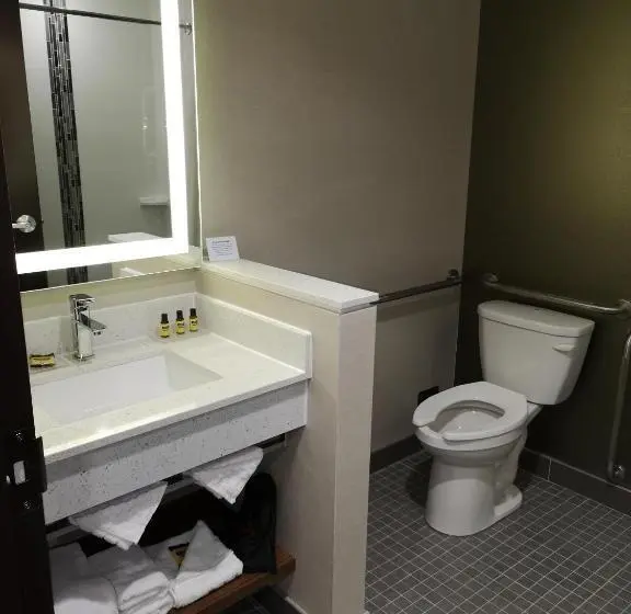 身障者適用スタンダードルーム, Best Western Plus Hinton Inn & Suites