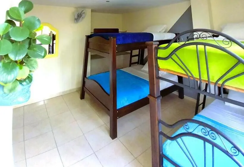 اتاق خانوادگی با سرویس بهداشتی مشترک, Casa Azul Boutique Hostel