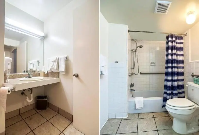 ２ダブルベッドのスタンダードルーム, O Haven Inn Huntsville Al Us 72