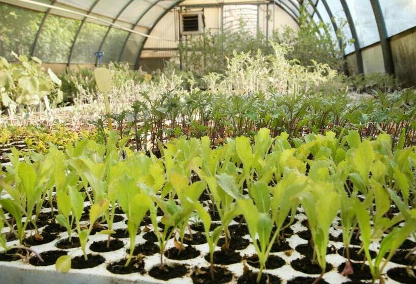 חדר סטנדרט עם מרפסת, Agriturismo Biomatto