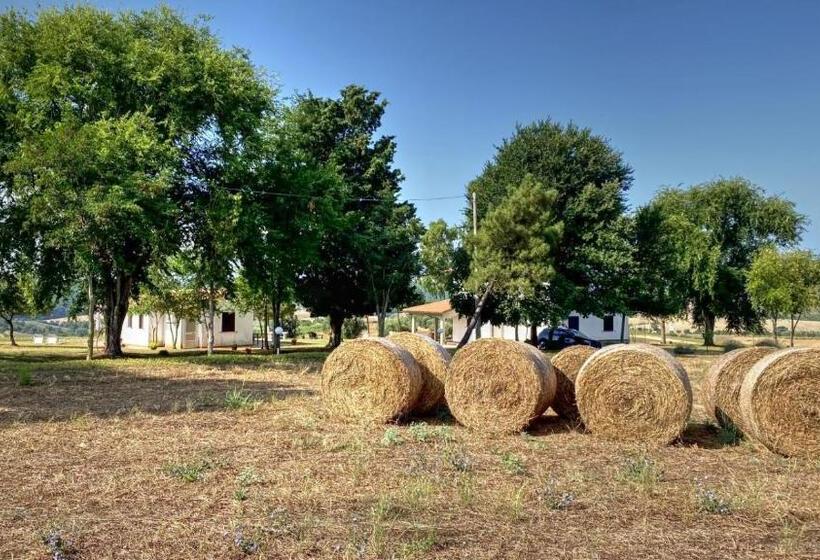 ３ベッドルームハウス, Agriturismo Uliveto Gretacci