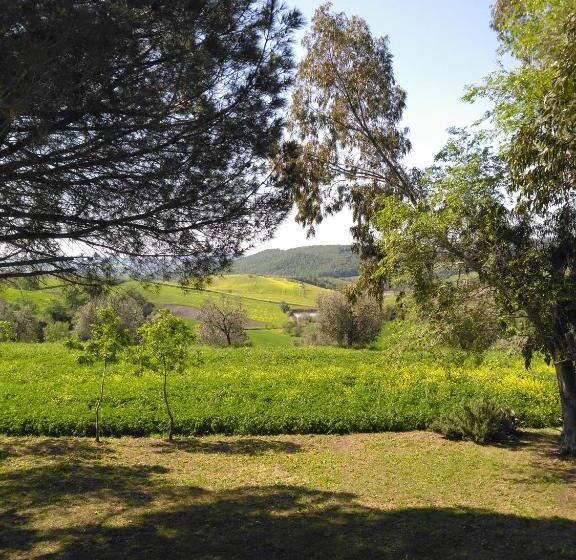 ２ベッドルームアパートメント, Agriturismo Uliveto Gretacci