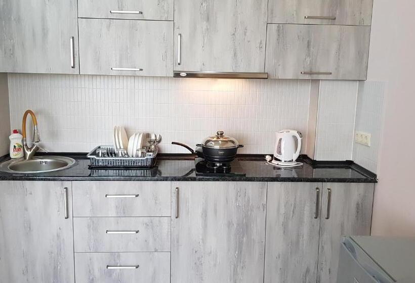 استودیوی استاندارد با چشم‌انداز دریا, Nakashidzes Apartments