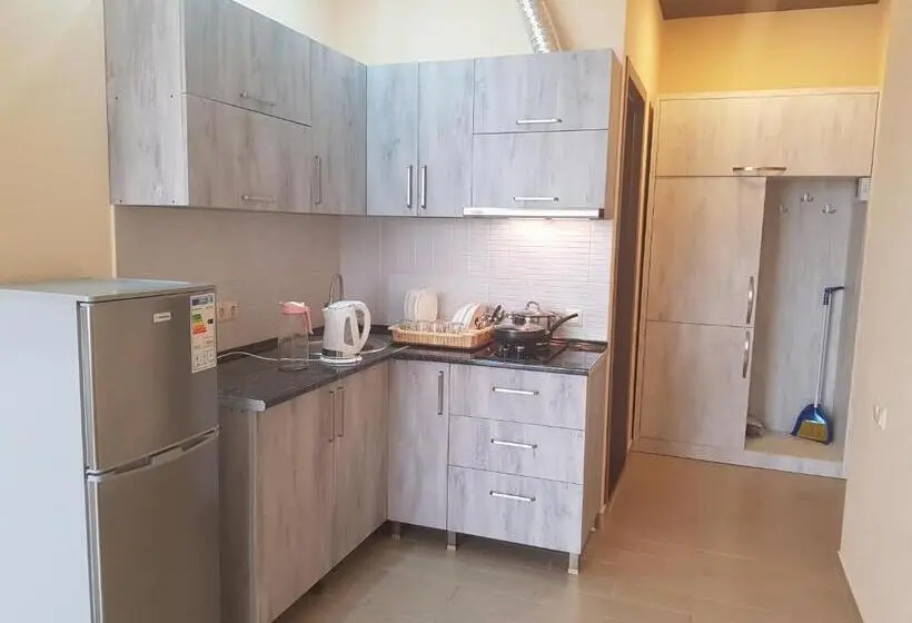 آپارتمان 1 خوابه با چشمانداز دریا, Nakashidzes Apartments