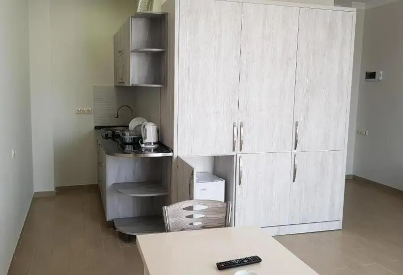آپارتمان 1 خوابه با چشمانداز, Nakashidzes Apartments