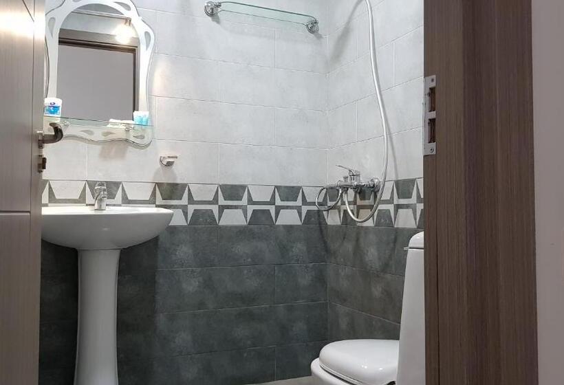 آپارتمان 1 خوابه با چشم‌انداز, Nakashidzes Apartments